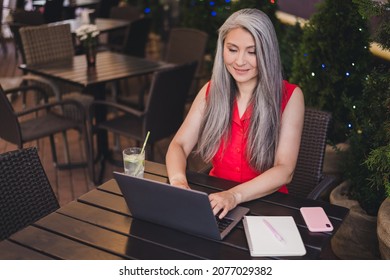 Portrait of attractive focused skilled cheerful grey-haired woman using laptop typing letter outdoors