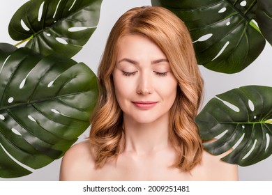 Portrait of attractive naked woman with big green plant eco detox vitality isolated over grey pastel color background
