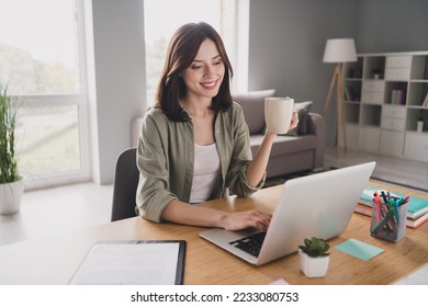 Portrait of attractive positive company boss girl sit chair hold tea mug use netbook bright workplace indoors - Powered by Shutterstock