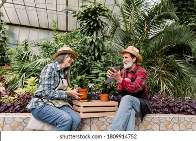 Portrait Of Attractive Senior Couple Of Gardeners In Straw Hats And Checkered Shirts, Sitting Among Green Plants In Orangery And Making Calculations Of Flowerpots And Recording It On Ipad Tablet