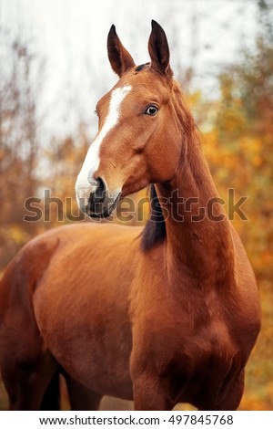 Similar – Foto Bild Misstrauisch Natur