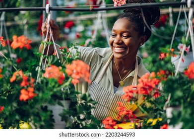 Portrait Of A Beautiful African Woman Standing In A Plant Nursery Greenhouse While Working. Black Florists Woman Working With Flowers At A Greenhouse. Blooming Plants In Flower Nursery. Close Shot.