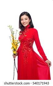 Portrait of a beautiful Asian woman on traditional festival costume Ao Dai holding Hoa Mai tree (Ochna Integerrima) flower. Tet holiday. Lunar New Year.