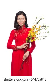 Portrait of a beautiful Asian woman on traditional festival costume Ao Dai holding Hoa Mai tree (Ochna Integerrima) flower. Tet holiday. Lunar New Year.