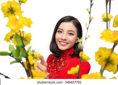 Portrait of a beautiful Asian woman on traditional festival costume Ao Dai holding Hoa Mai tree (Ochna Integerrima) flower. Tet holiday. Lunar New Year.