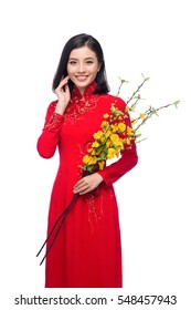 Portrait of a beautiful Asian woman on traditional festival costume Ao Dai holding Hoa Mai tree (Ochna Integerrima) flower. Tet holiday. Lunar New Year.