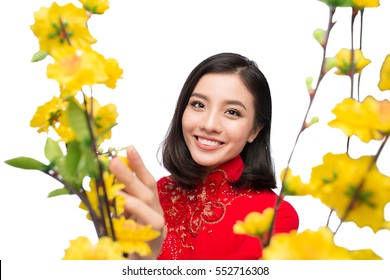 Portrait of a beautiful Asian woman on traditional festival costume Ao Dai holding Hoa Mai tree (Ochna Integerrima) flower. Tet holiday. Lunar New Year.