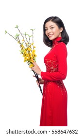 Portrait of a beautiful Asian woman on traditional festival costume Ao Dai holding Hoa Mai tree (Ochna Integerrima) flower. Tet holiday. Lunar New Year.