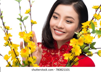 Portrait of a beautiful Asian woman on traditional festival costume Ao Dai holding Hoa Mai tree (Ochna Integerrima) flower. Tet holiday. Lunar New Year.