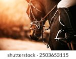 Portrait of a beautiful bay horse with a bridle on its muzzle and a rider in the saddle, which are illuminated by bright sunlight. Horse riding. Equestrian sports. Equestrian life.