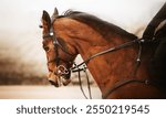 Portrait of a beautiful bay horse with a dark mane and with a rider in the saddle, which rides fast on a cloudy day. Equestrian sports. Horse riding.