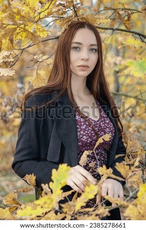 Portrait of a beautiful brunette posing among autumn tree branches