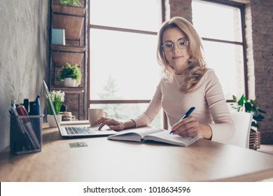 Portrait of beautiful confident with blonde curly hair clever woman wearing casual clothes, she is sitting at the table in front of computer and checking information in her diary and on the internet