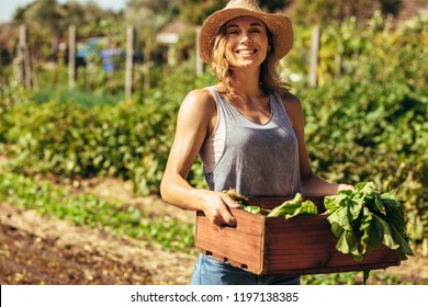 Portrait of beautiful female gardener carrying crate with freshly harvested vegetables in farm. Young female farmer working in field. - Powered by Shutterstock