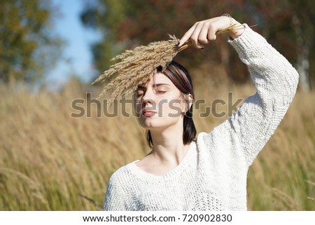 Similar – Image, Stock Photo Dry grasses in autumn. Brown colours and sad mood.