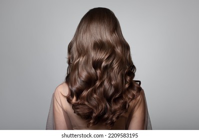 Portrait of a beautiful girl with luxurious curly long hair. Back view.