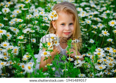 Similar – flower girl Gänseblümchen