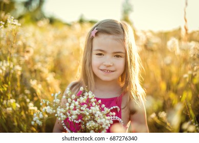 Portrait Beautiful Little Girl Field Wildflowers Stock Photo 687276340 ...