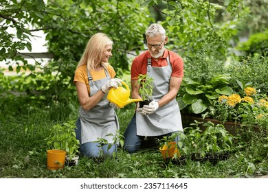 Portrait of beautiful mature couple working together in the garden, happy romantic senior spouses wearing aprons watering plants, older man and woman gardening together on backyard, copy space - Powered by Shutterstock