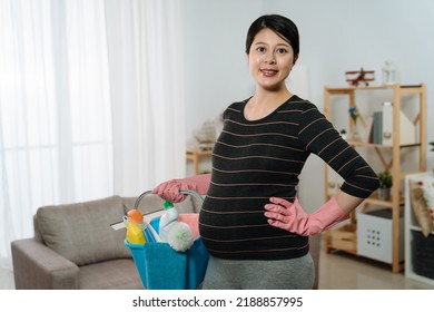 Portrait Beautiful Pregnant Mom Carrying A Bucket Of Cleaning Equipment And Products Is Looking At The Camera With An Arm On Waist In A Bright Living Room.