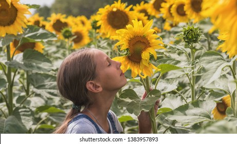 Portrait Beautiful Preteen Girl Long Hair Stock Photo 1383957893 ...