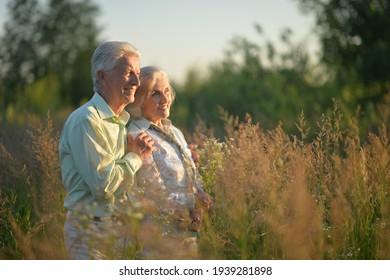 Porträt eines schönen älteren Paares im Park