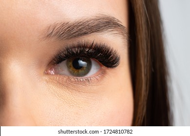 Portrait of a beautiful woman with eyelashes and eyebrow correction. Eye close up.