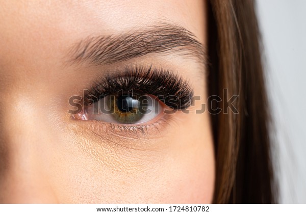 Portrait of a beautiful woman with eyelashes\
and eyebrow correction. Eye close\
up.