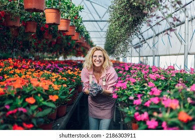 Portrait Of A Beautiful Woman Standing In A Plant Nursery Greenhouse While Working. Florists Woman Working With Flowers At A Greenhouse. Blooming Plants In Flower Nursery. Looking Into The Camera.