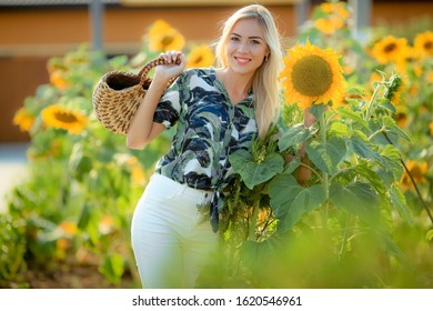 Portrait Of Beautiful Woman With Strait Hair. Walking In Sunflower Field