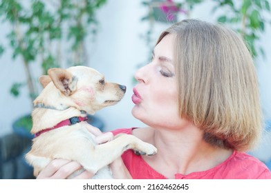 portrait beautiful young blonde smiling and pet dog Chihuahua
