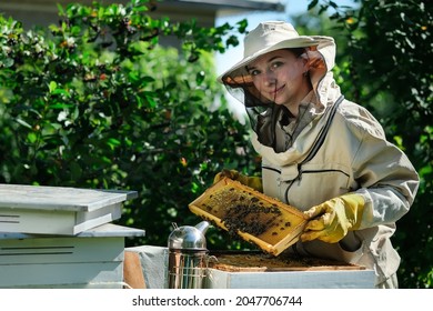 Portrait of a beautiful young female beekeeper working in an apiary near beehives with bees. Collect honey. Beekeeper on apiary. Beekeeping concept.