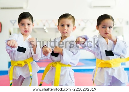 Portrait of beautiful young kids fighting and doing karate poses during a taekwondo class