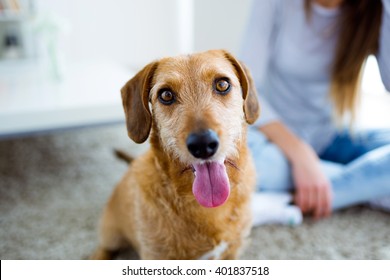 Portrait of beautiful young woman with dog playing at home.