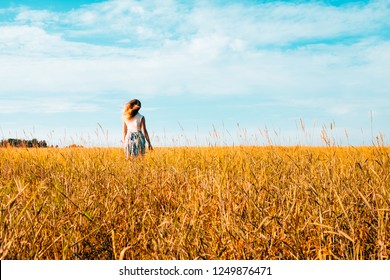 Portrait of a beautiful young woman in a dress walking through the wheat field