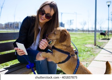 Portrait Of Beautiful Young Woman With Her Dog Using Mobile Phone.