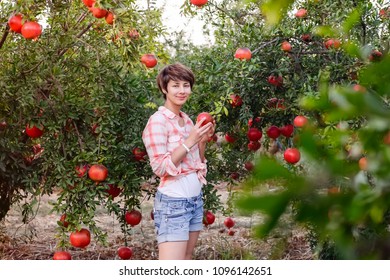 Portrait of Beautiful young woman in red checkered shirt looking at camera and picking ripe organic pomegrate fruits in the garden. Harvest time concept. Sunset light. selective focus, space for text