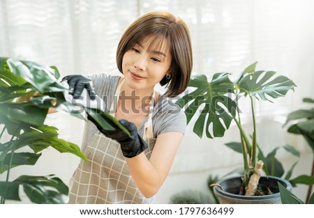 Portrait of beauty asian woman cleaning leaf in her living room. Young asia girl taking care of plants at her home. Hobby and leisure time, stay home quarantine. Green environment, earthday sustain.