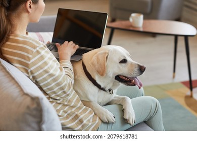Portrait of big while dog lying in lap of young woman working from home and using laptop with blank screen, copy space - Shutterstock ID 2079618781