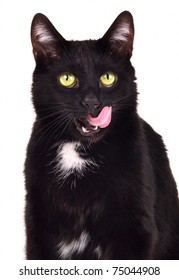 Portrait Of Black Cat Licking Itself Isolated On White Background