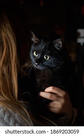 Portrait Of A Black Domestic Cat Sitting In A Woman's Arms Outdoors. Beautiful Black Cat With Yellow Eyes. Pets.