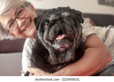 Portrait of black purebred old pug dog sitting with his senior owner on the floor at home. Best friend and pet therapy concept