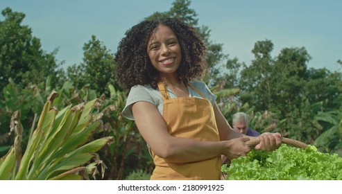 Portrait Of A Black Woman Holding Basket Standing At Organic Community Farm. A Hispanic Black Person Cultivating Lettuces Smiling At Camera