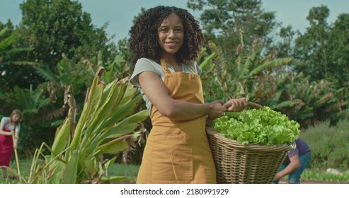 Portrait Of A Black Woman Holding Basket Standing At Organic Community Farm. A Hispanic Black Person Cultivating Lettuces Smiling At Camera