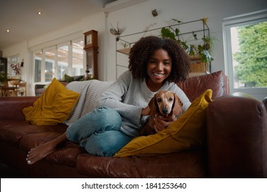 Portrait of black woman playing with pet dachshund dog at home sitting on couch