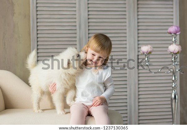 99+ Baby Husky Golden Retriever Puppies