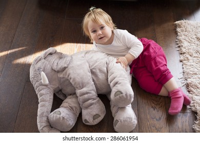 portrait of blonde caucasian baby nineteen month age looking at camera smiling with cheerful expression face together grey plush doll on brown wooden floor - Powered by Shutterstock