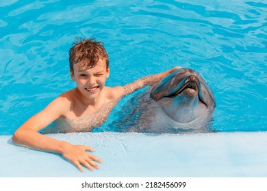 A Portrait Of A Boy And Dolphin In The Swimming Pool. Kid And Dolphin Communication. 