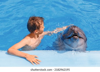 A Portrait Of A Boy And Dolphin In The Swimming Pool. Kid And Dolphin Communication. 