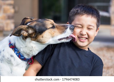 A Portrait Of A Boy Smiling As His Dog Licks His Face